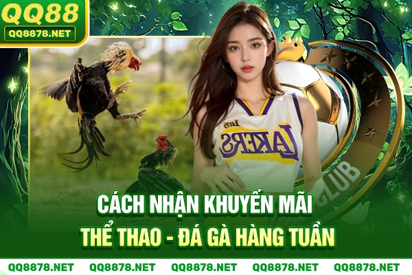 Cách Nhận khuyến mãi thể thao - đá gà hàng tuần.